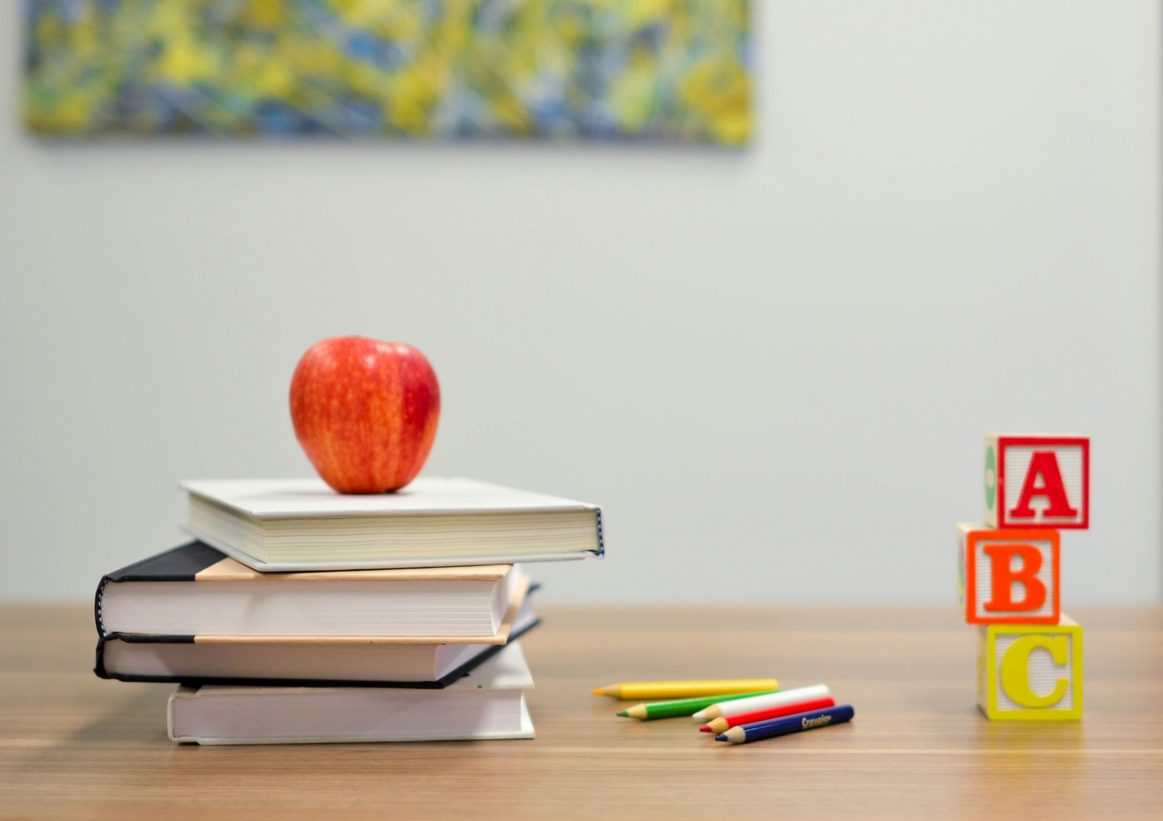 JUNGPARTEIEN FORDERN: FRANZÖSISCH MUSS IN DER GRUNDSCHULE BLEIBEN
